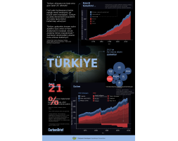 Türkiye (Karbon Salımı Profili)