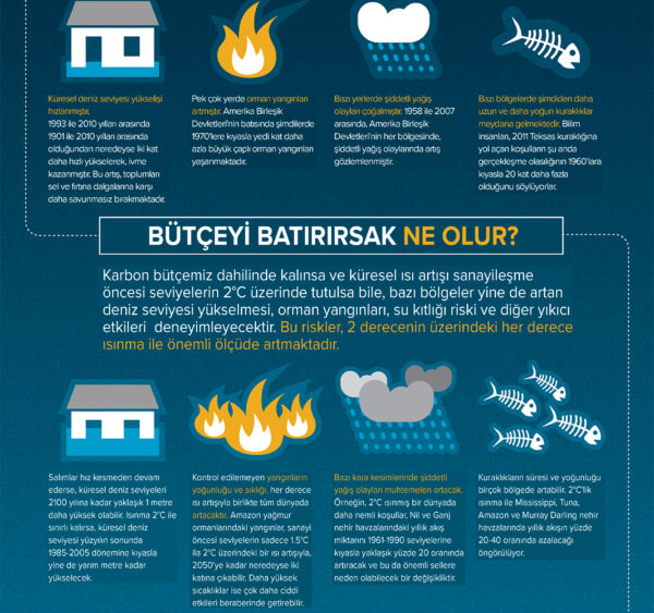Karbon Bütçesi