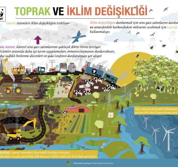 Toprak ve iklim değişikliği