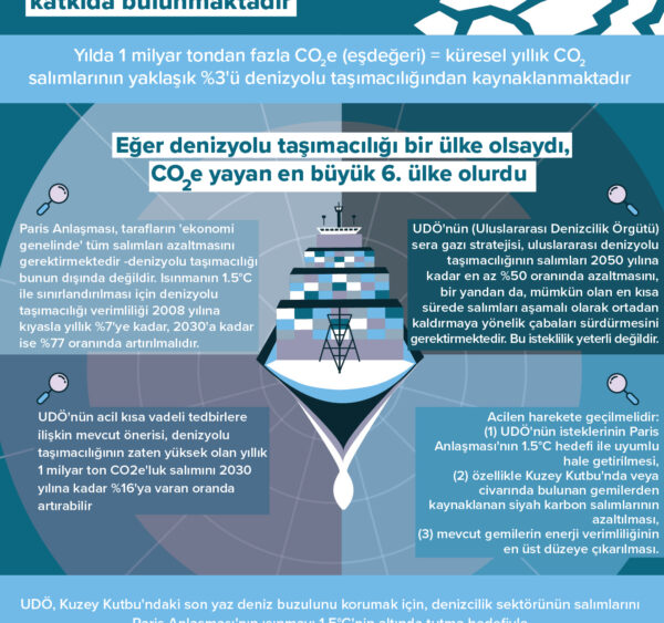 Uluslararası denizyolu taşımacılığı salımları, küresel ısınmaya ve arktik deniz buzunun erimesine katkıda bulunmaktadır