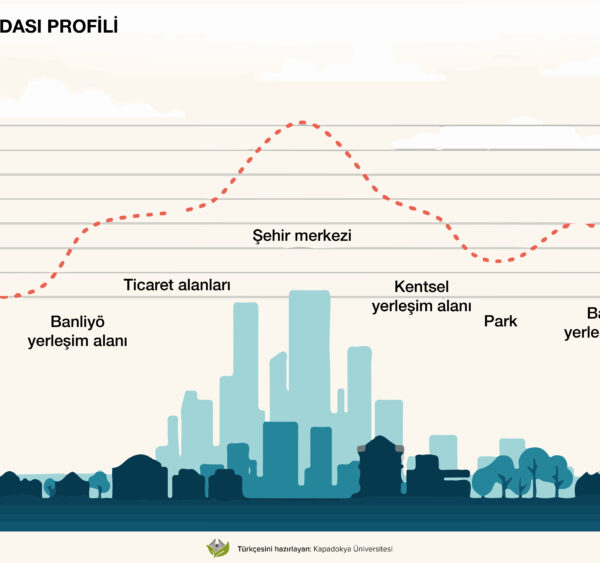 Kentsel Isı Adası Profili