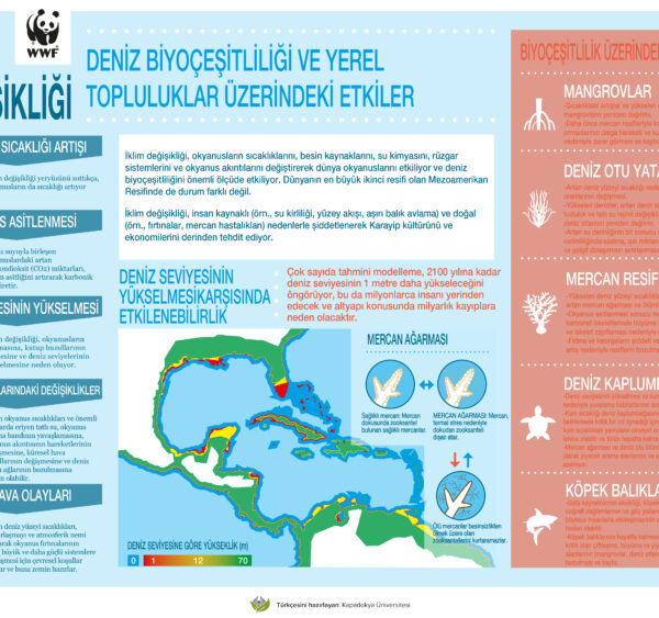 İklim Değişikliği: Deniz Biyoçeşitliliği ve Yerel Topluluklar Üzerindeki Etkiler