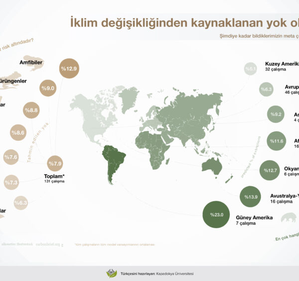 İklim değişikliğinden kaynaklanan yok olma riski